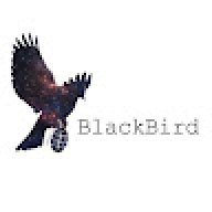 Black Bird