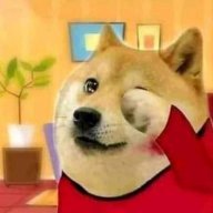 DogeB