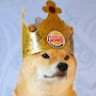 King Doge